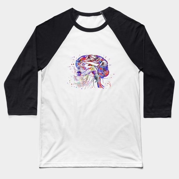 Brain cranial nerves Baseball T-Shirt by RosaliArt